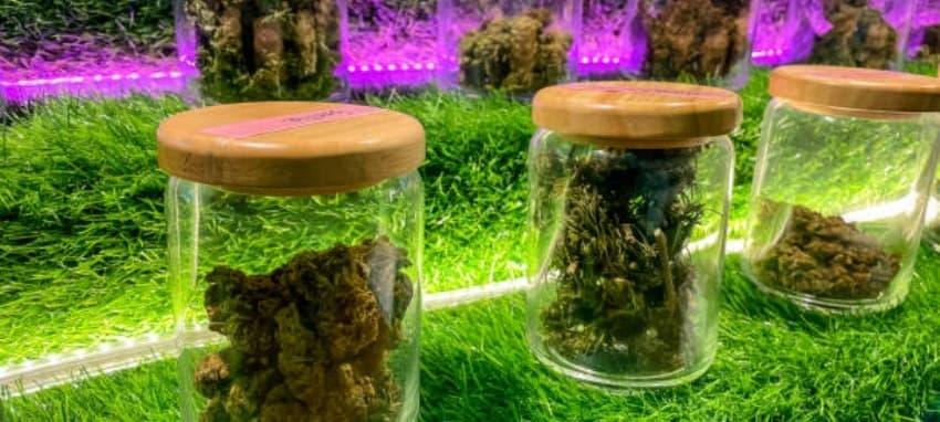 Találd meg a legjobb e cigi bolt akcióit és vásárlói tippeket 2026-ban